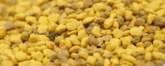 花粉怎么吃? 花粉怎么吃最有效