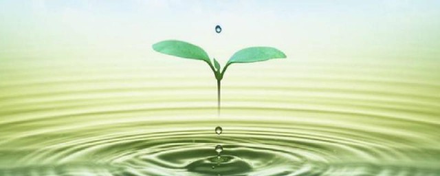 节水小诀窍10条 节约用水应该怎样做