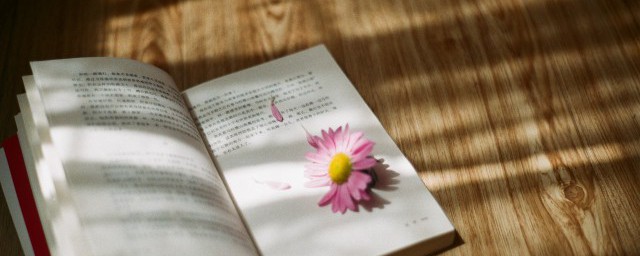 云想衣裳花想容的含义 云想衣裳花想容是什么意思