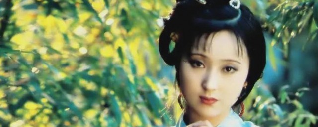 陈晓旭个人资料简介 陈晓旭个人简介