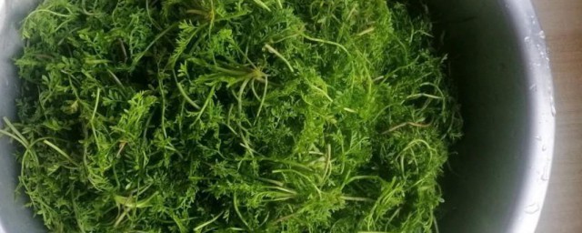米米蒿怎么做好吃 米米蒿做好吃的方法