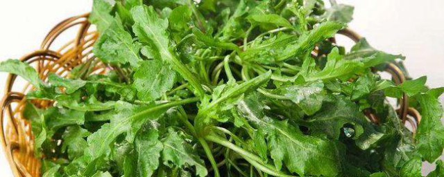 荠菜种类 荠菜的种类介绍