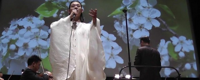 卷珠帘歌词是什么意思 歌曲卷珠帘介绍