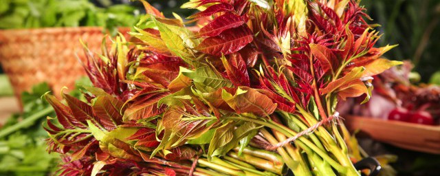 孕妇可以吃香椿芽吗 怀孕中可以吃吃香椿芽的吗