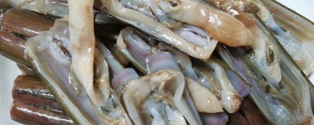 怎样清洁蛏子 清洁蛏子的次序
