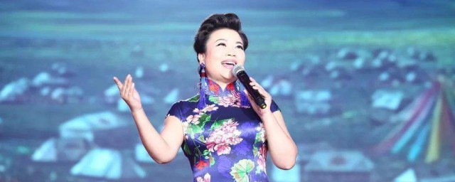 张也个人资料 关于张也的简介