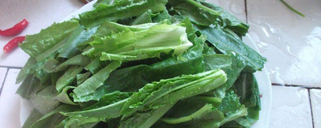 油麦菜怎么好吃 油麦菜如何炒好吃