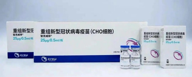 新冠疫苗cho细胞是什么意思 新冠疫苗cho细胞的解释