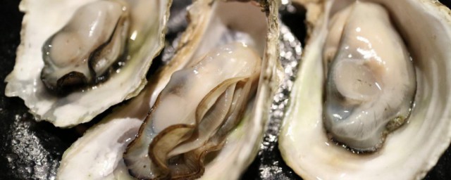 清蒸生蚝蘸料怎么调 调清蒸生蚝蘸料方法