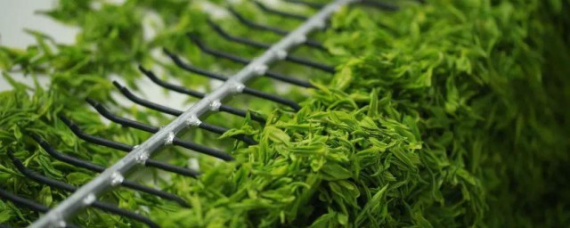 茶叶深加工产品有哪些 茶叶深加工产品介绍