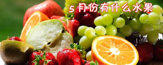 5月份有什么水果 5月份的应季水果品种列表