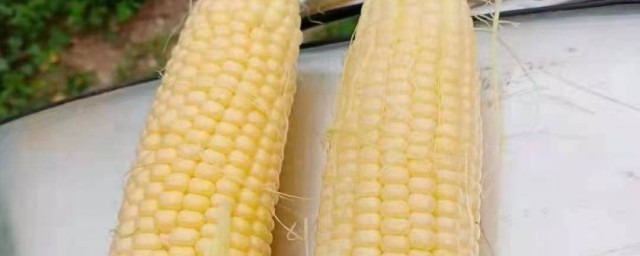 水果玉米怎样吃 水果玉米怎样吃好