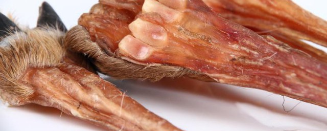 鹿筋的功效与作用及食用要领 鹿筋的功效与作用及食用办法简介