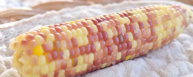 玉米怎样煮又嫩又好吃 玉米如何煮又嫩又好吃