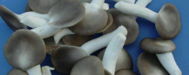 秀珍菇怎么做好吃 秀珍菇如何做好吃