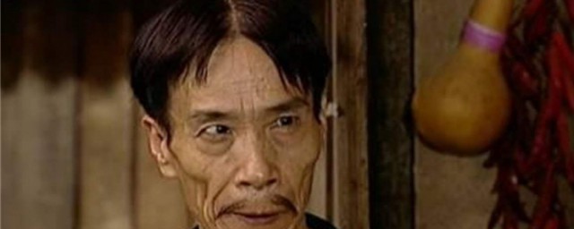 伪军是什么意思 伪军是什么的意思