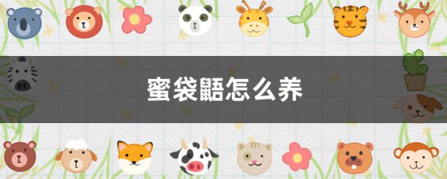 蜜袋鼯怎么养 蜜袋鼯的饲养技巧