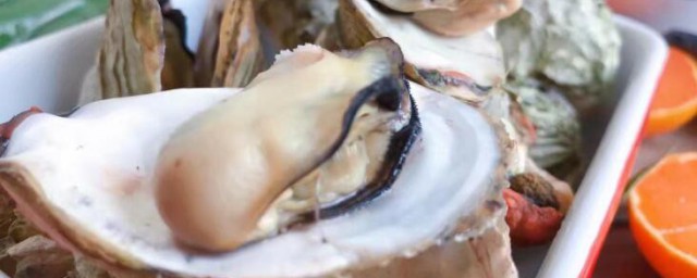 海蛎子如何清洗 海蛎子怎么清洗