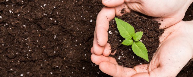 微生物对土壤质量的作用 关于微生物对土壤质量的作用简介