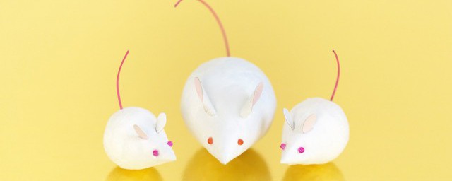 鼠年结婚冲鼠怎样办 冲鼠的详细化解办法
