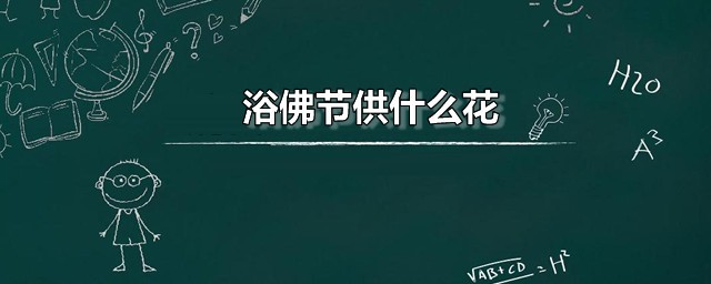 浴佛节花 浴佛节是哪一天