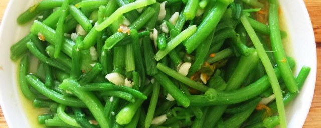 家常蒜蓉萝卜苗的做法 家常蒜蓉萝卜苗的制作方法