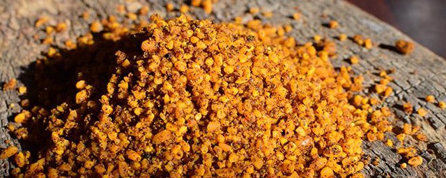 野钓酒米窝料制作办法 野钓酒米窝料怎么制作