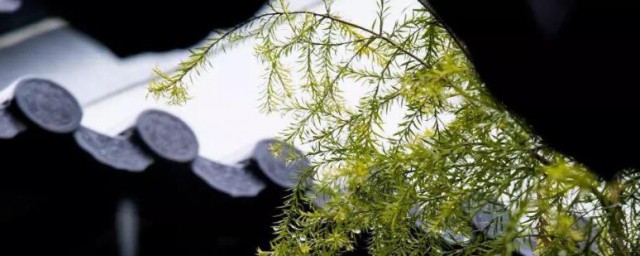 梅雨季节持续多久 梅雨季节持续多长时间