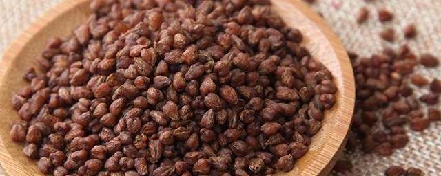 黑苦荞茶的功效与作用及禁忌 黑苦荞茶有哪些功效与作用及禁忌