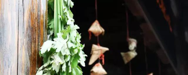 端午节菖蒲怎么挂 端午节菖蒲的挂法介绍