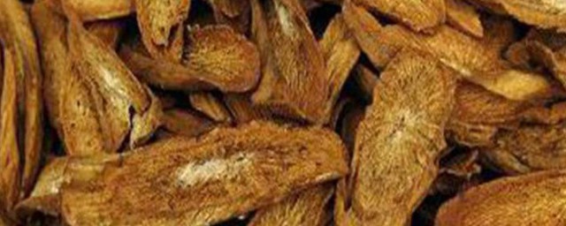 牛蒡的功效与作用吃法 关于牛蒡的功效与作用吃法