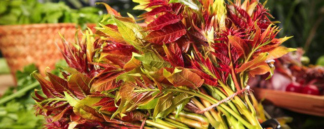 香椿芽如何保存才新鲜 香椿芽短期保鲜办法