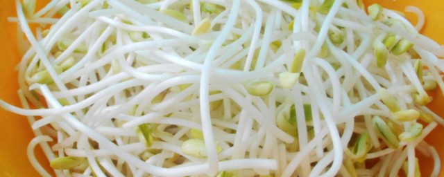 豆芽煮多久 豆芽煮多久熟