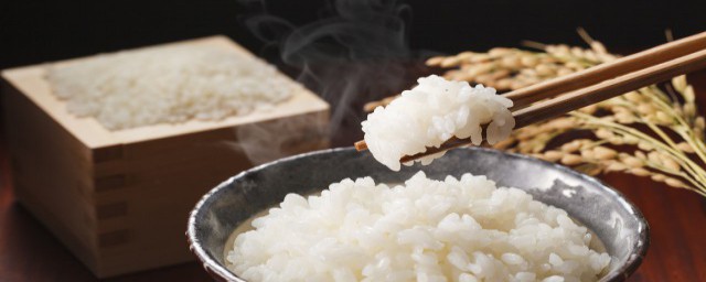 吃馒头和米饭哪个更容易胖 馒头和米饭哪个容易变胖