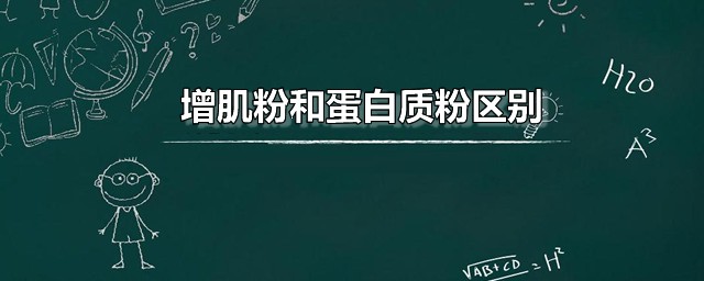 增肌粉和蛋白质粉区别 哪一种含蛋白质更多