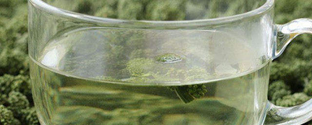 三七花泡水喝能降血压吗 三七花泡水食用真的可以降血压吗