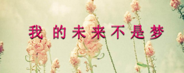 我的未来不是梦原唱 歌曲我的未来不是梦介绍