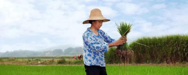 村股份制改革是什么意思 关于村股份制改革