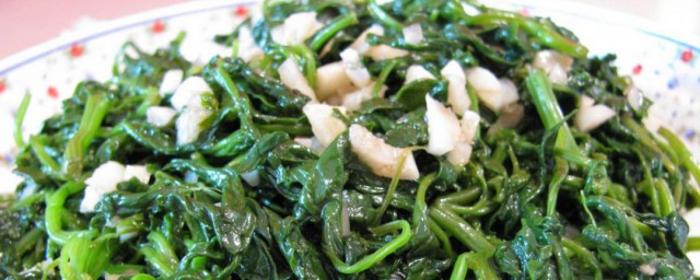 灰菜怎么吃 灰灰菜吃什么部位