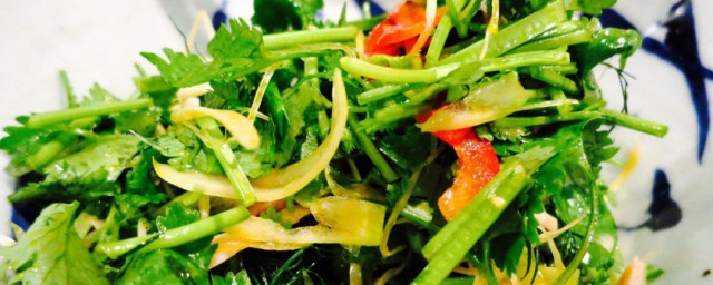 老虎菜的做法 老虎菜的经典配方