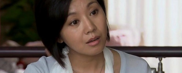 一仆二主 电视剧演员表 一仆二主简单介绍