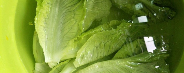 蒜蓉生菜的制作办法 蒜蓉生菜如何做