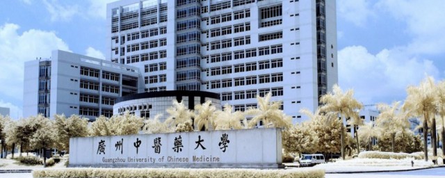 大学有什么专业 大学的专业有哪些