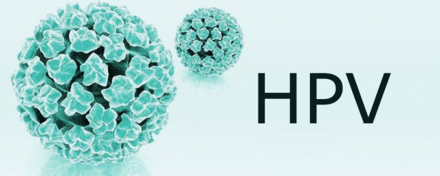 什么是hpv hpv简单简介