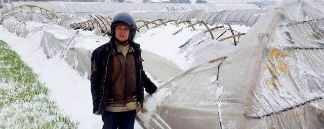 减少雪灾的方法 怎么减少雪灾