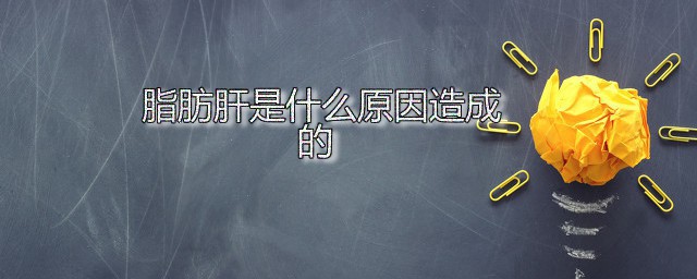 脂肪肝是什么原因造成的 脂肪肝的诱因有哪些