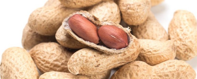 花生的种植时间和方法 花生怎么让种子发苗呢