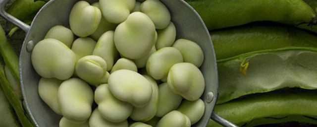蚕豆种植时间和方法 蚕豆怎么施肥呢