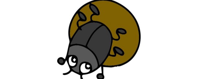 蜣螂怎样读 蜣螂简介