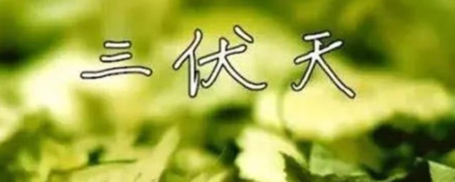 2021年三伏天具体时间 2021年三伏天具体时间是什么时候